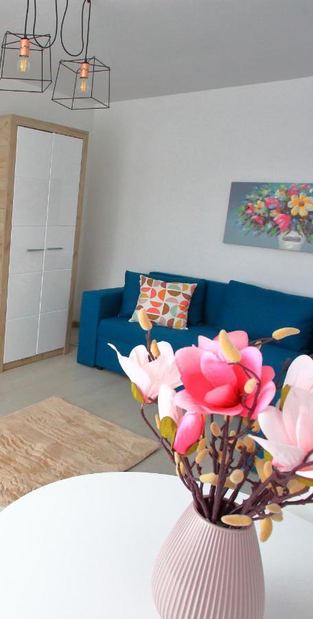 Apartament Delora View Bumbesti-Jiu Exterior photo